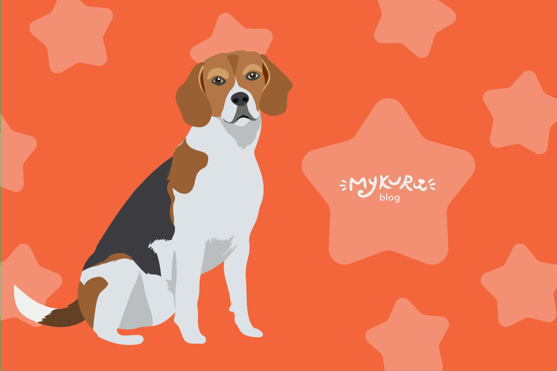 Discover the Playful Charm of Beagle Dogs!