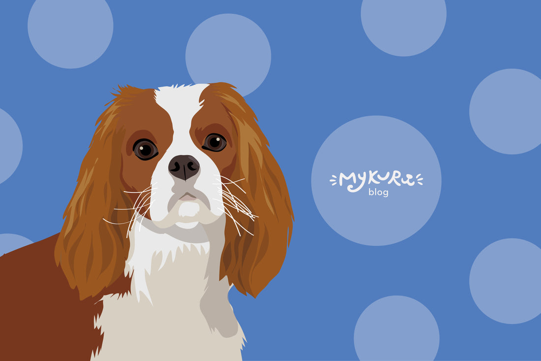 Cavalier King Charles Grooming Tips: Keep Your Dog Happy and Healthy
